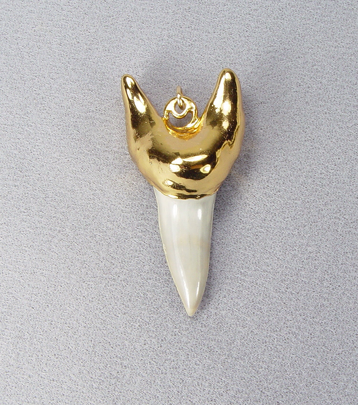 Fossil Mako Shark Tooth Pendant with 18kt Electroformed Gold