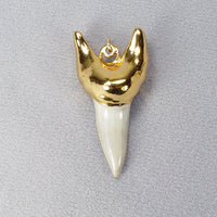 Fossil Mako Shark Tooth Pendant with 18kt Electroformed Gold