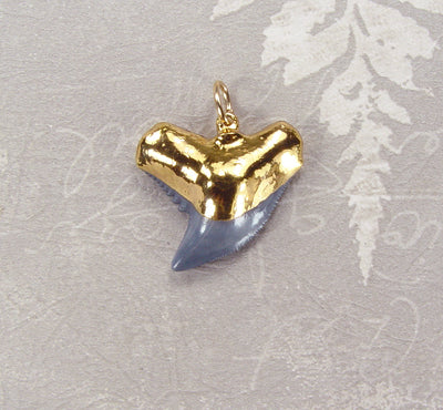 Fossil Tiger Shark Tooth Pendant with Electroformed 18kt Gold