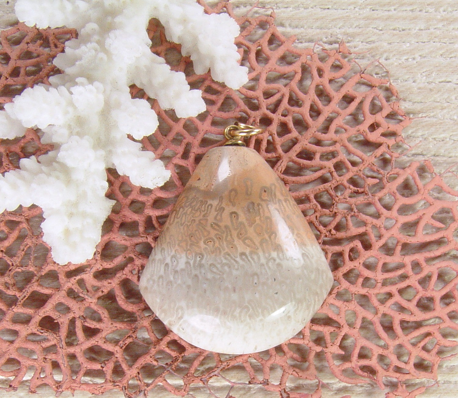 Fossil Palm Wood Root Pendant