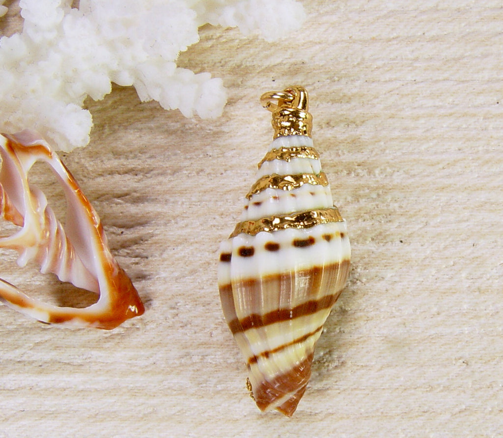 1 raw brass stamping, Nautical Conch, spiral Sea Shell, pendant