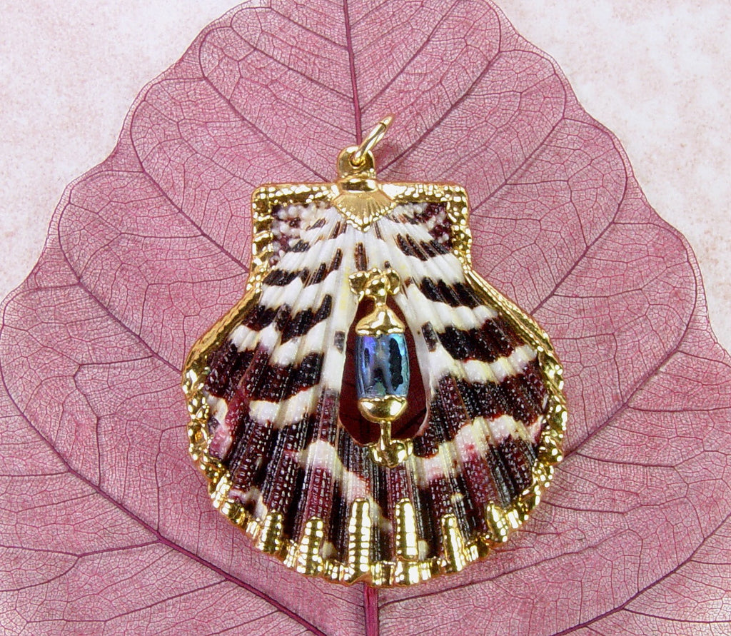 Scallop Shell Pendant With Insert Accent