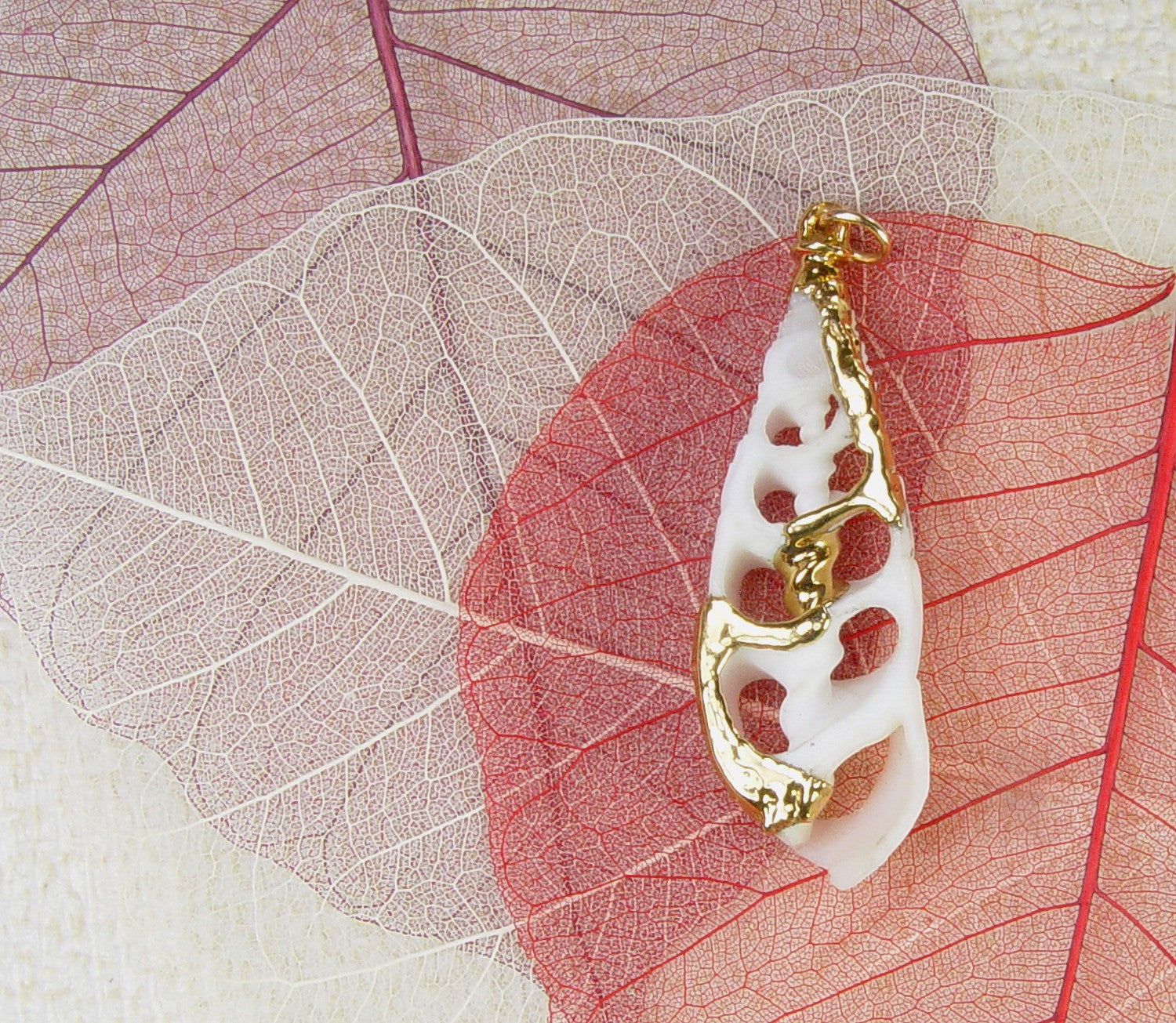 Sliced Shell Pendant with Electroformed 18kt Gold