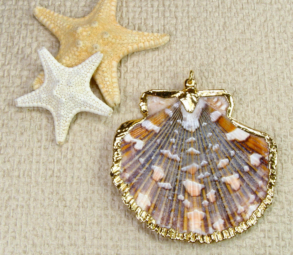 Relics Involving Seashell Stunning Scallop Seashell Pendant with Handcrafted with 18kt Gold ...