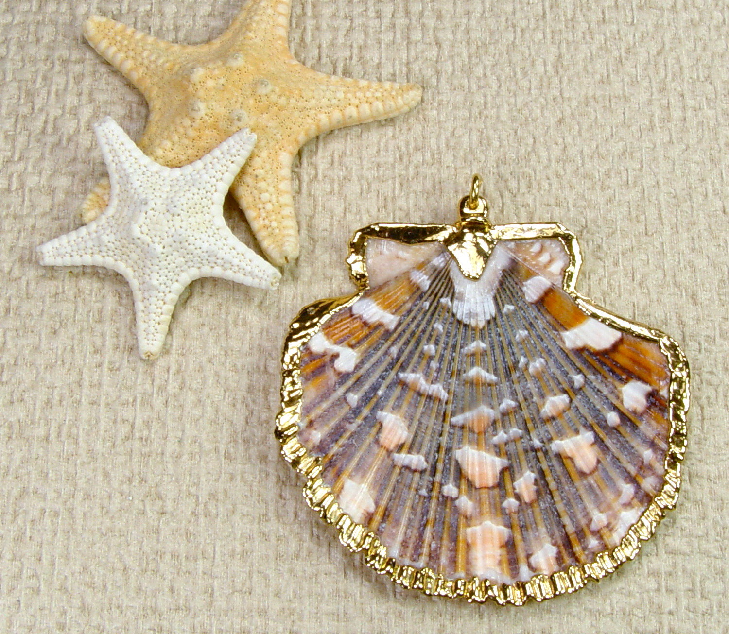 Scallop Seashell Pendant with Electroformed 18kt Gold