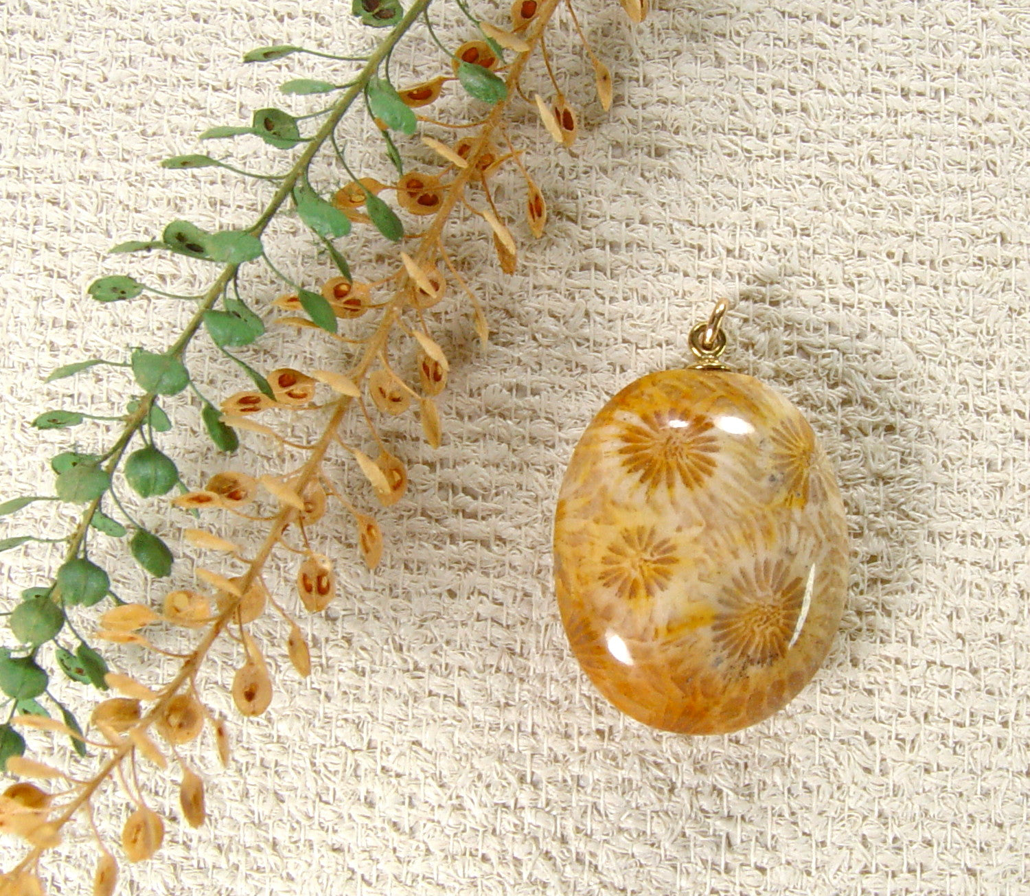 Fossil Coral Pendant with Electroformed 18kt Gold