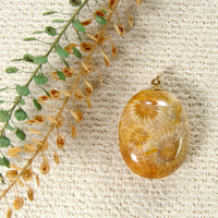 Fossil Coral pendant