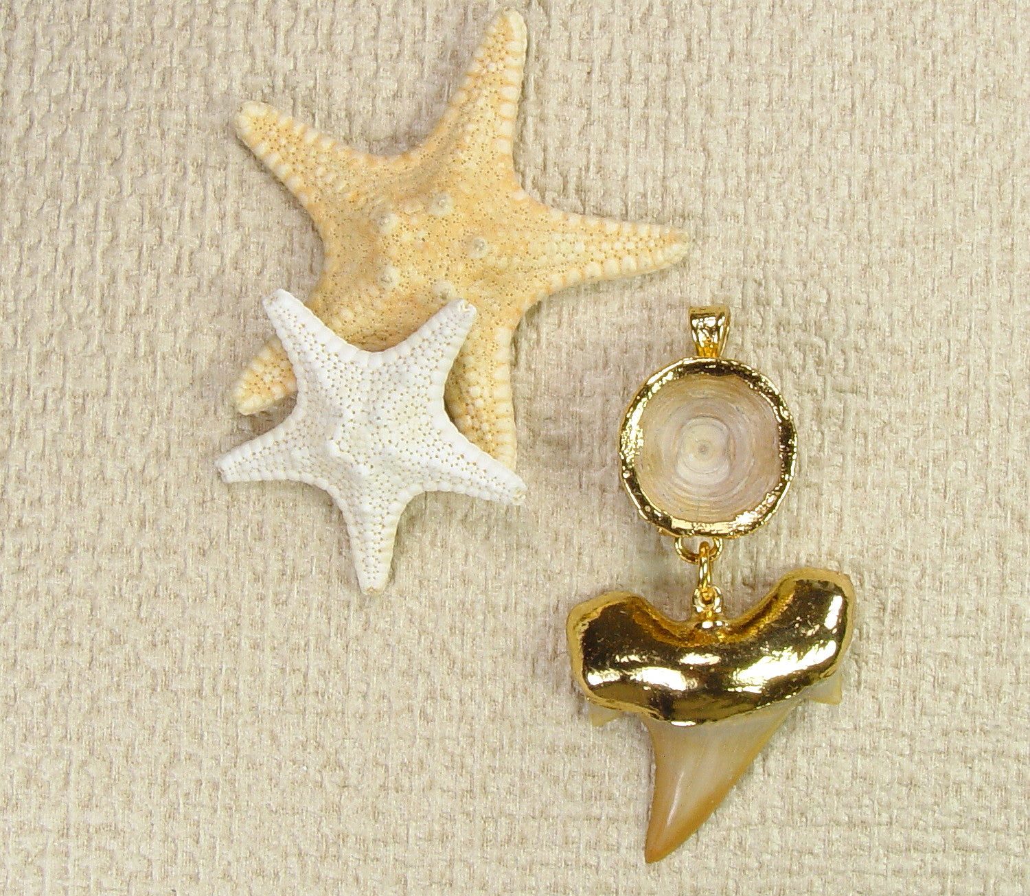 Fossil Mackerel Shark Tooth and Vertebra Pendant with Electroformed 18kt Gold