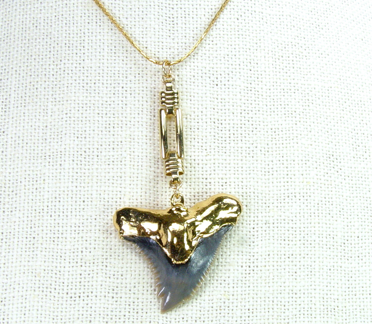Fossil Shark Tooth Necklace