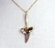 Fossil Mako Shark Tooth Necklace