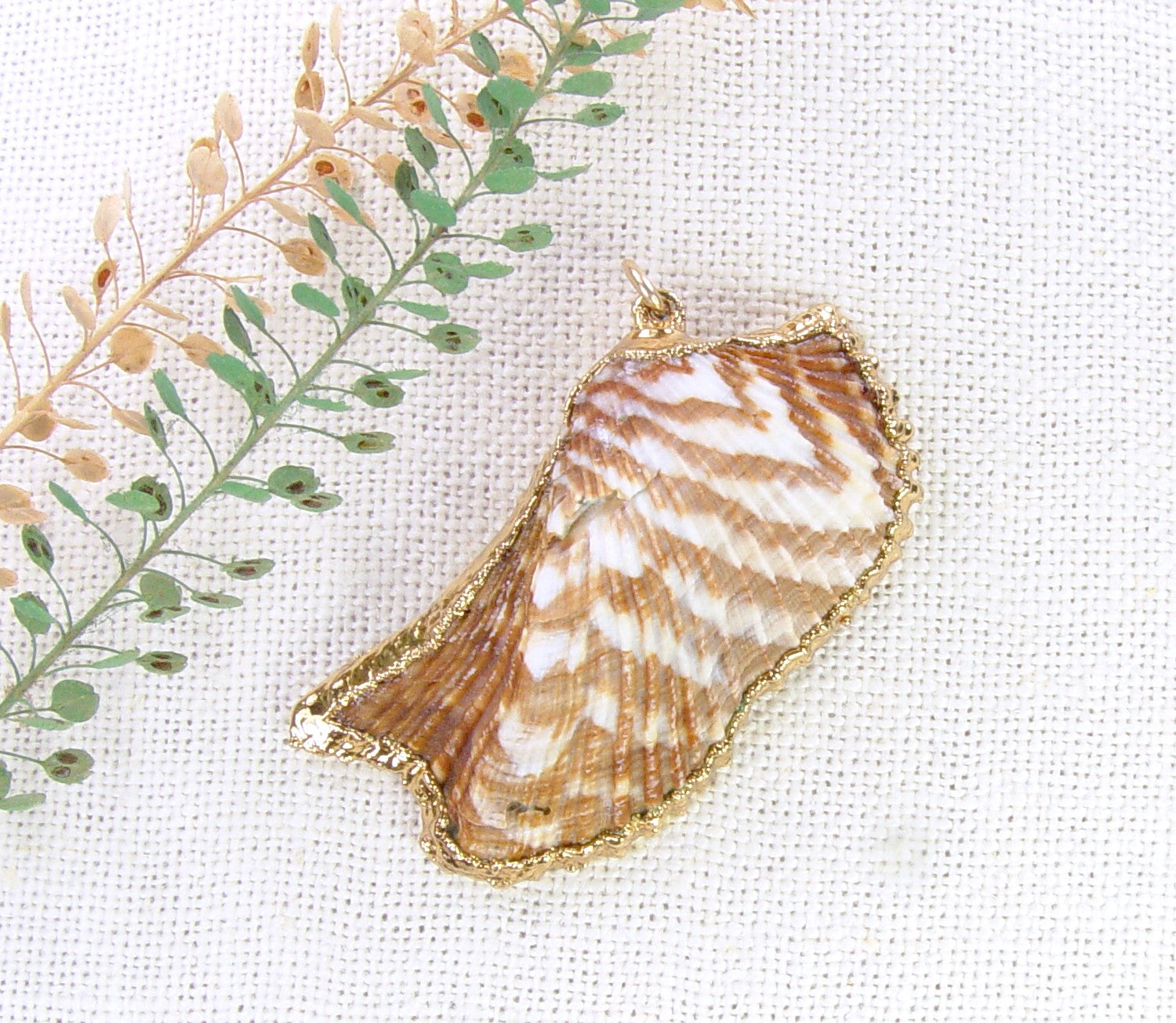 Turkey Wing Shell Pendant
