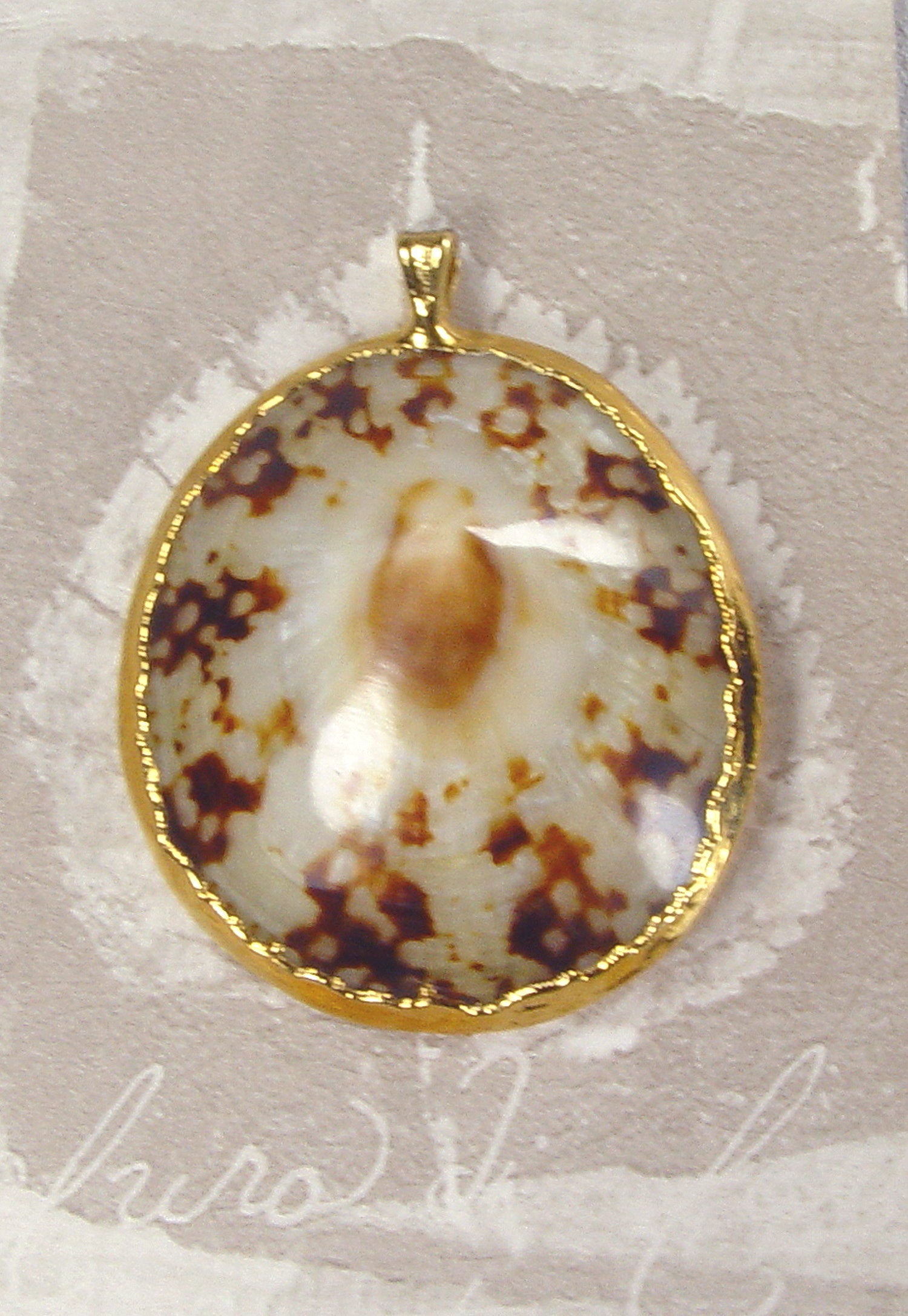 Polished Limpet Shell Pendant