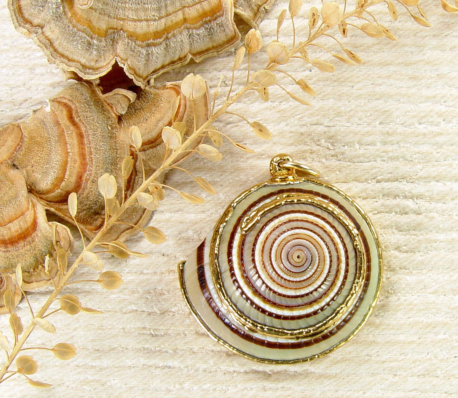 Sundial Shell Pendant