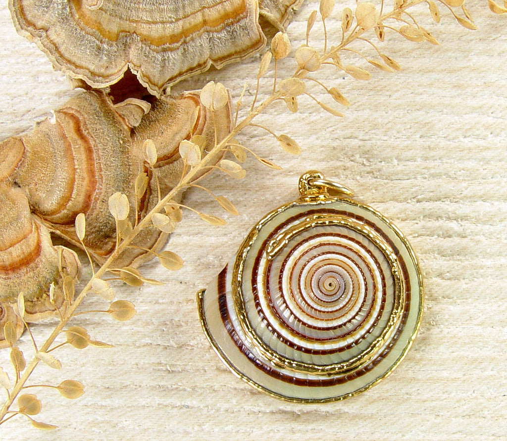 Buy Emma's Love: Auger Shell Necklace Online in India - Etsy