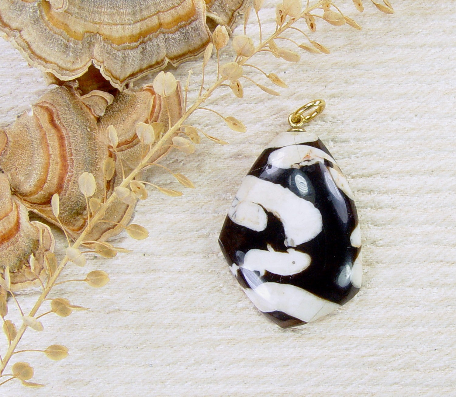 Fossil Peanut Wood Pendant