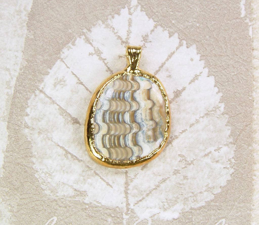 Polished Fossil Clam Pendant
