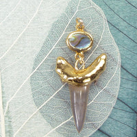 Fossil Shark Tooth Pendant With A Paua Shell Accent Bead
