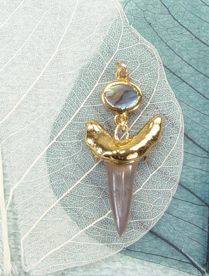 Fossil Shark Tooth Pendant With A Paua Shell Accent Bead