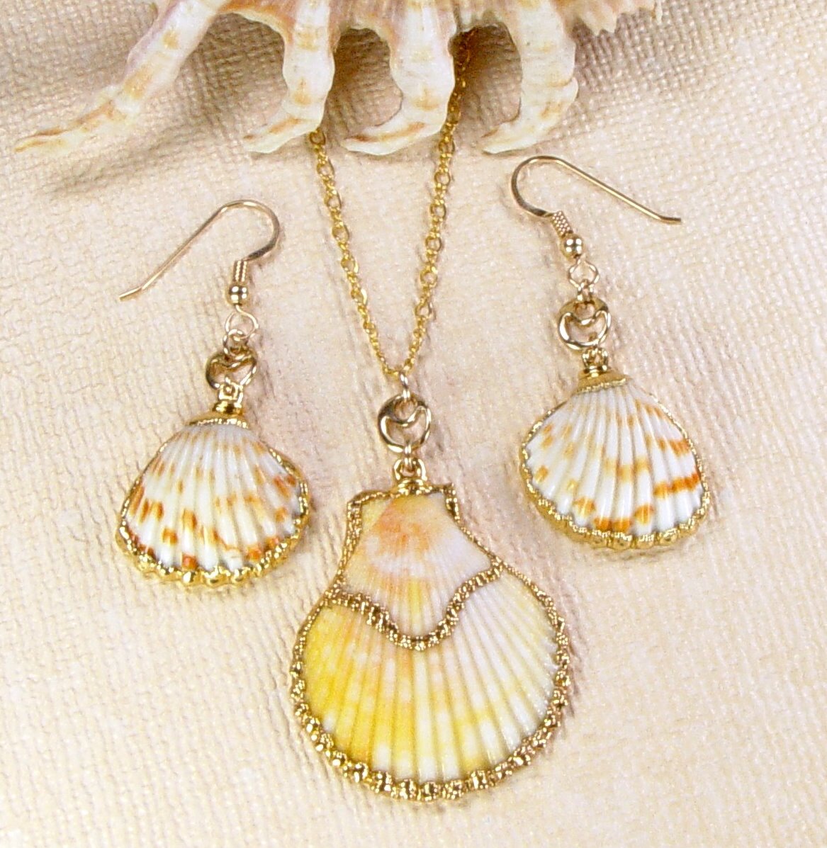Scallop Shell Necklace and Earrings Matched Set