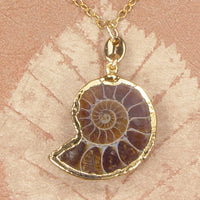 Ammonite Necklace with 18k Electroformed Gold & Gold-Filled Chain