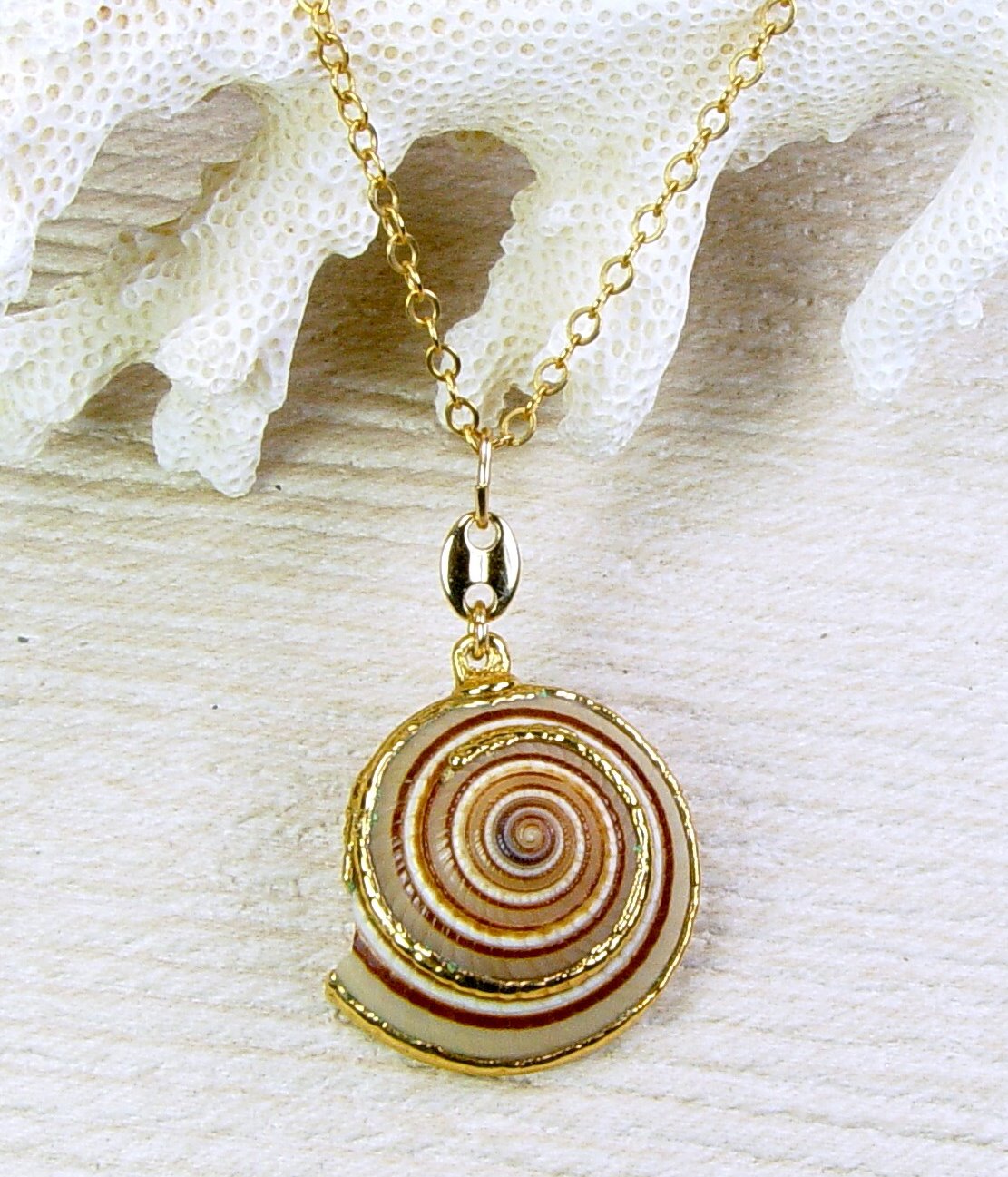 Sundial Shell Necklace
