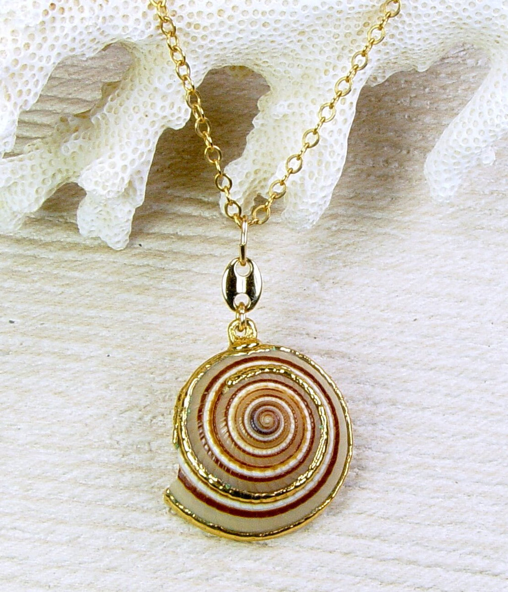 Buy Necklace With Real Resin Snail Shell, Real Animal, Real Insect Online  in India - Etsy