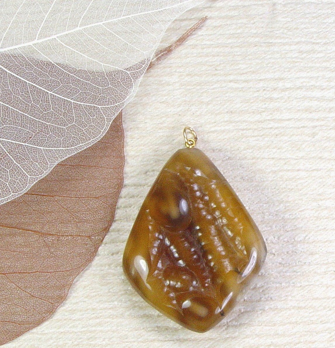 Fossil Agatized Coral