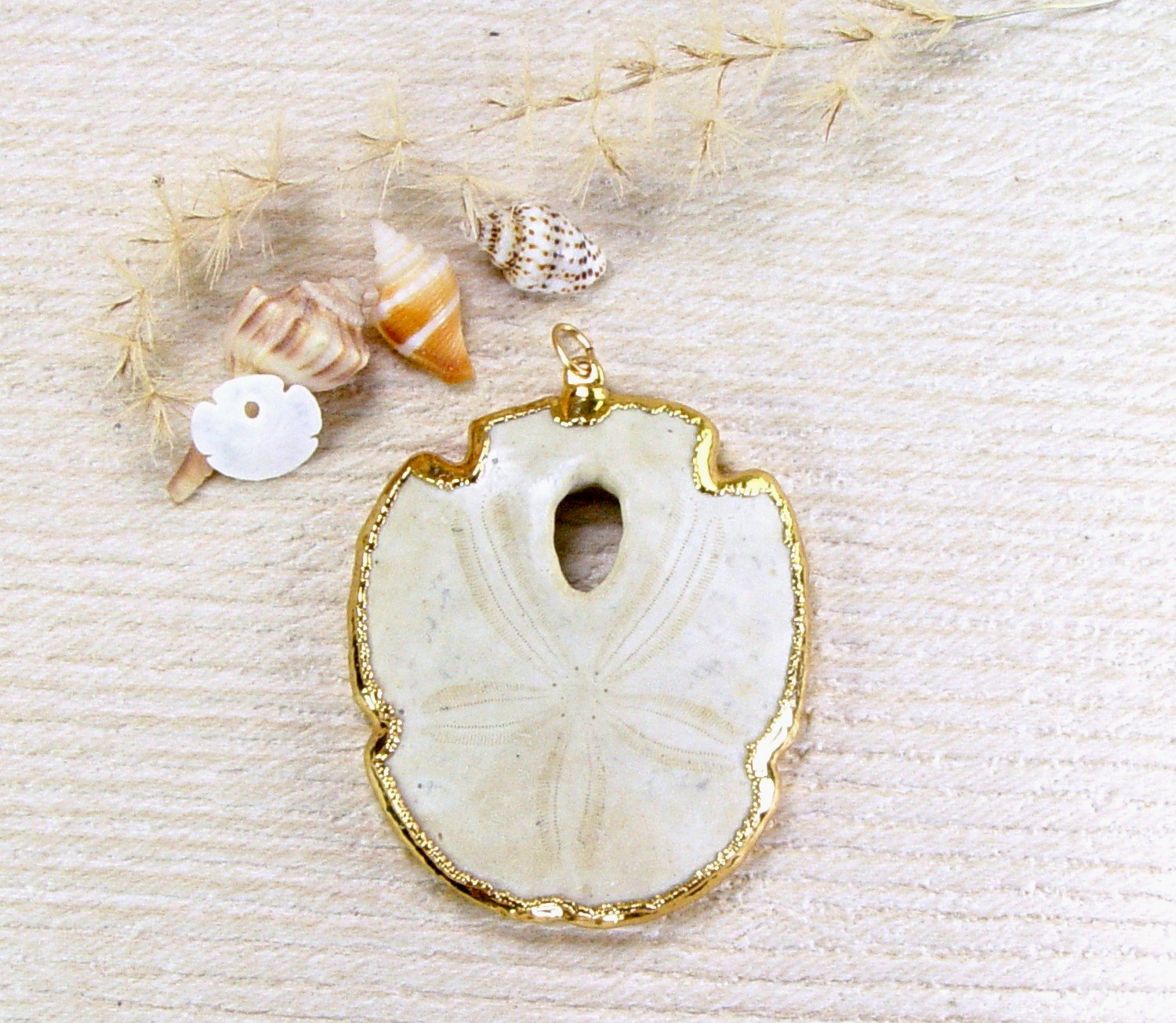 Fossil Sand Dollar Pendant with Electroformed 18kt Gold