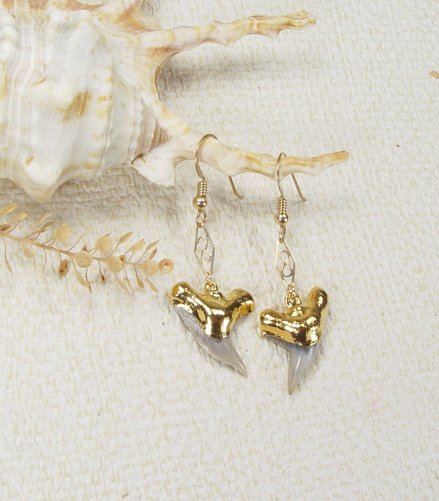 Fossil Tiger Shark Tooth Earrings with Gold-Filled Wires & Electroformed 18kt Gold