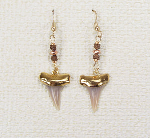 Fossil Shark Tooth Earrings