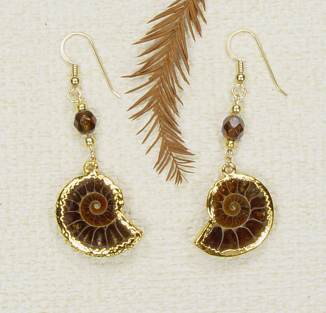 Fossil Ammonite Earrings