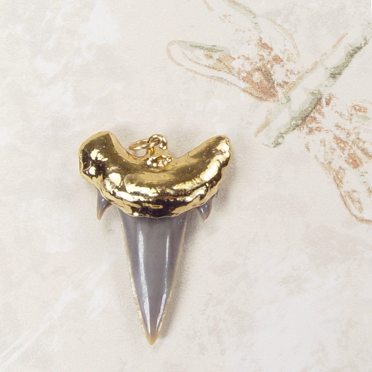 Fossil Shark Tooth Pendant
