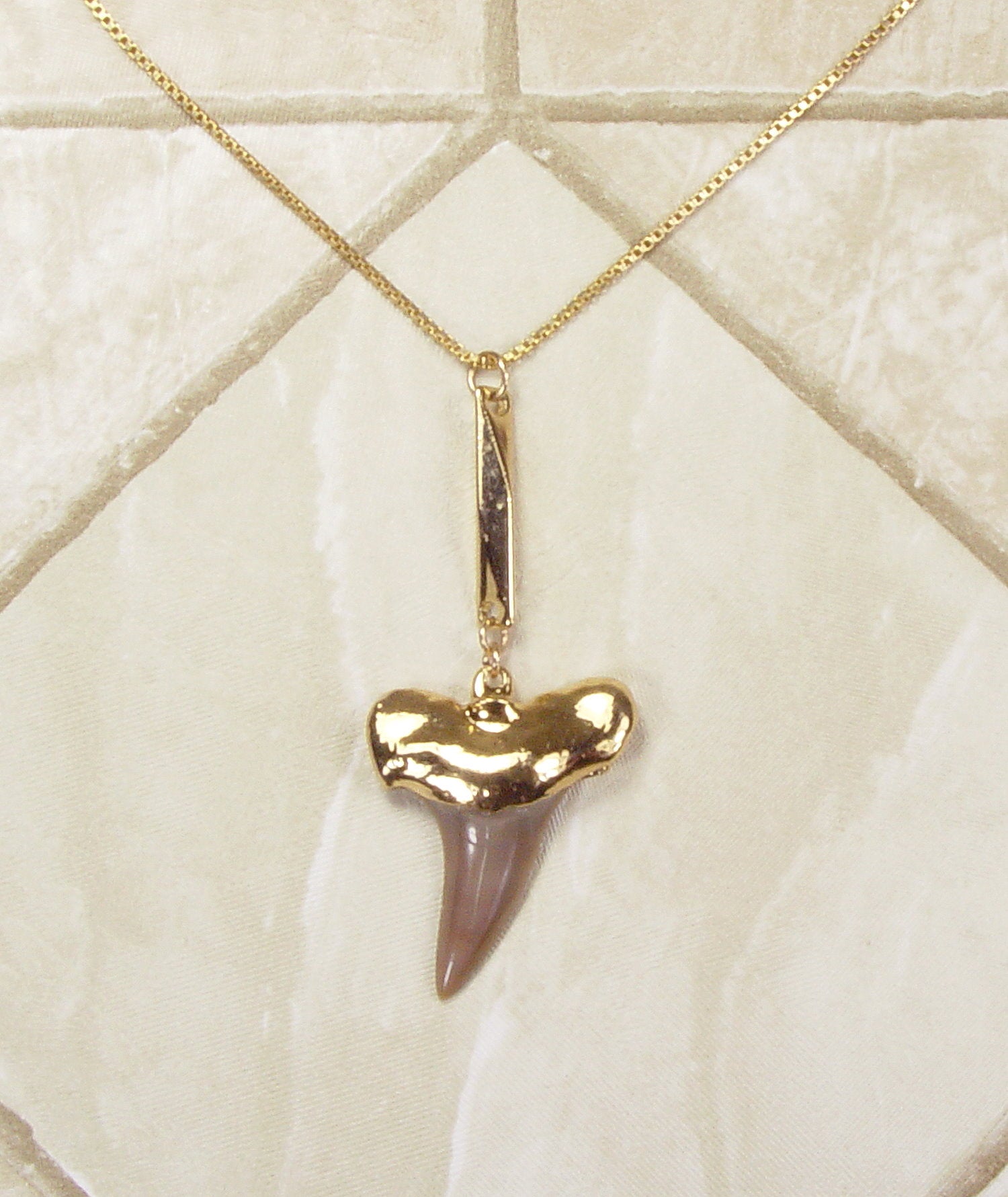 Fossil Shark Tooth Necklace