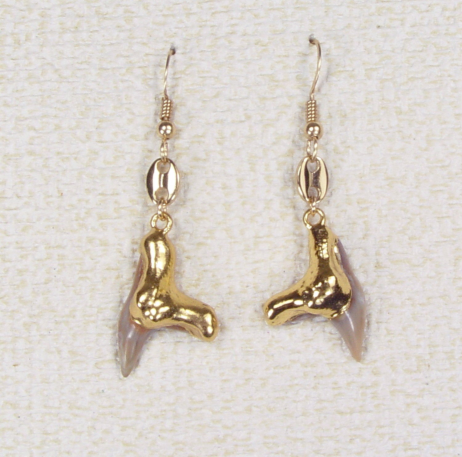 Fossil Tiger Shark Tooth Earrings with Gold-Filled Wires & Electroformed 18kt Gold