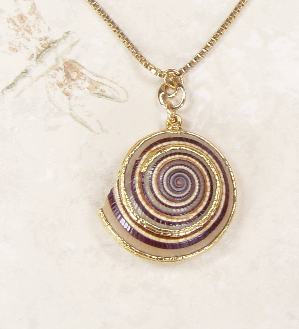 Sundial Shell Necklace